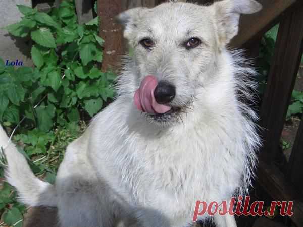 Лето | Фотографии Ксюша Ксюшина | 201 фото