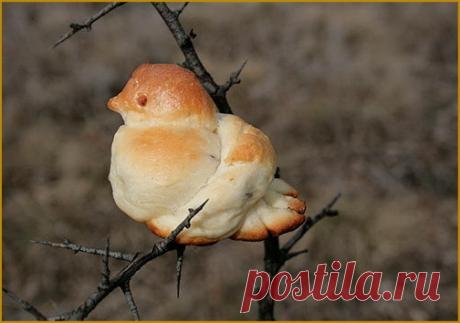 (5) Мой Мир@Mail.Ru