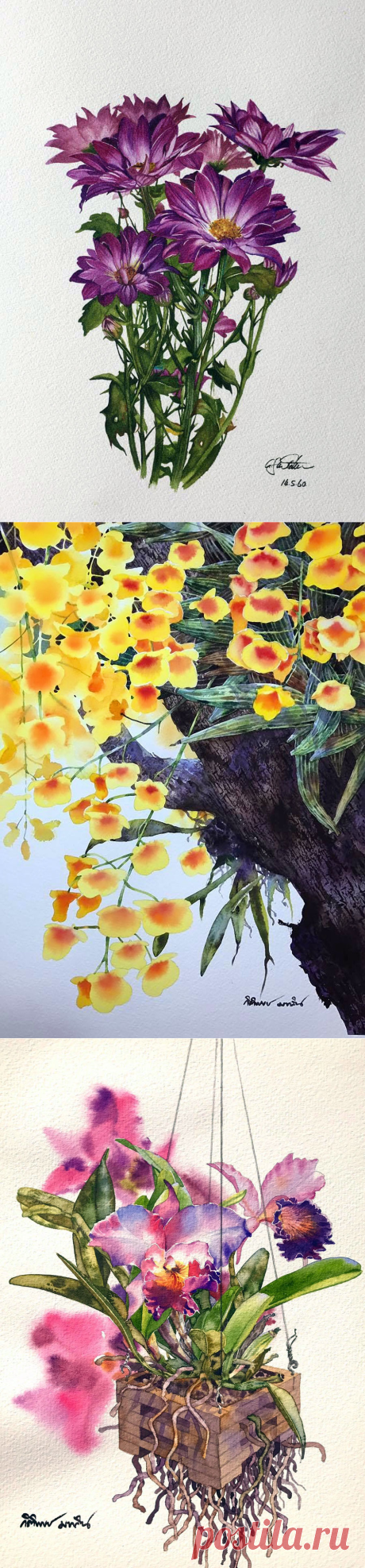 Нежно акварельные мотивы... Художник - акварелист Ti Watercolor-Kitipong Maksin (Bangkok-Thailand ). Часть 6.