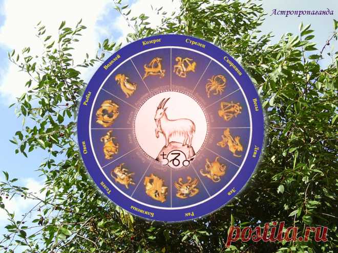 Гороскоп для Козерога с 3 по 31 июля 2023 

♑ ✨ Автор: астролог Нина Стрелкова. 
✧ В ваш знак еще в прошлом месяце вернулся Плутон, и это могут почувствовать те, кто родился во второй половине января, ближе к границе со знаком Водолея. Плутон конфликтует с Лунными узлами, давая намек, что нужно разобраться с какими-то кармическими проблемами, преодолеть силу инерции и стереотипы поведения. Во второй половине июля Плутон становится в оппозицию к Солнцу...