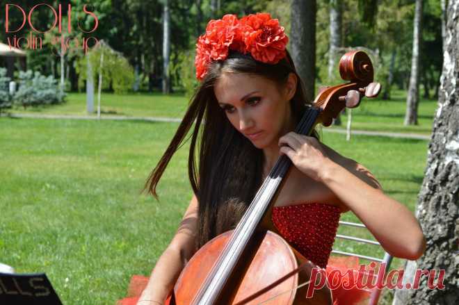 Музыкальное сопровождение мероприятий - струнное трио Violin Group DOLLS.