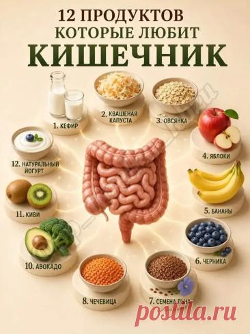 12 продуктов которые любит кишечник