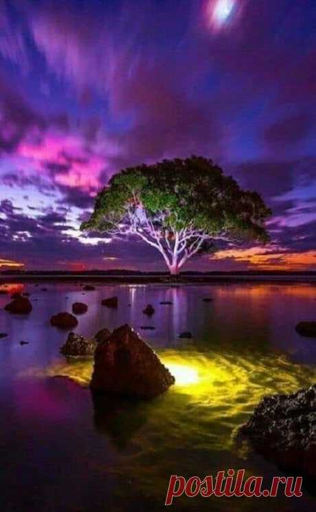man made and natural wonders