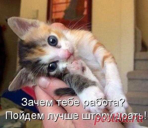 Новости