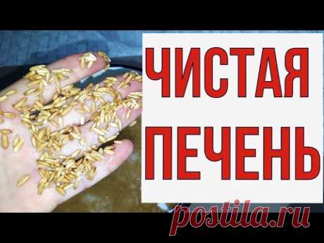 Растворились камни в ЖЕЛЧНОМ,  мощно ЧИСТИТ печень, универсальный ОТВАР.