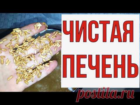 Растворились камни в ЖЕЛЧНОМ,  мощно ЧИСТИТ печень, универсальный ОТВАР.