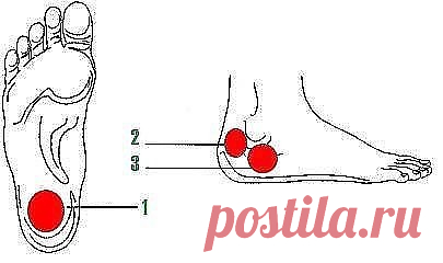 Народный рецепт лечения пяточной шпоры

Могу понять всех людей, которые страдают шпорой. Мне известны эти мучительные боли в пятках. И я хочу рассказать вам о своем личном опыте лечения шпоры, буду рад, если смогу вам помочь избавиться от этой напасти.

Когда то я однажды много трудился, и в результате появилась сильная боль в пятке. Боль не проходила, и я обратился к врачу. Рентген показал, что у меня шпора! Я, конечно, начал лечение. Пил постоянно таблетки, которые мне п...