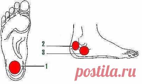 Народный рецепт лечения пяточной шпоры

Могу понять всех людей, которые страдают шпорой. Мне известны эти мучительные боли в пятках. И я хочу рассказать вам о своем личном опыте лечения шпоры, буду рад, если смогу вам помочь избавиться от этой напасти.

Когда то я однажды много трудился, и в результате появилась сильная боль в пятке. Боль не проходила, и я обратился к врачу. Рентген показал, что у меня шпора! Я, конечно, начал лечение. Пил постоянно таблетки, которые мне п...