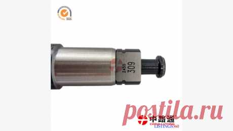 PLUNGER 2 418 425 988 and PLUNGER 2 418 450 005 supplier | Handeni...