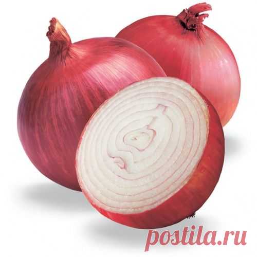 Чудо-средство для здоровья - обычный репчатый лук