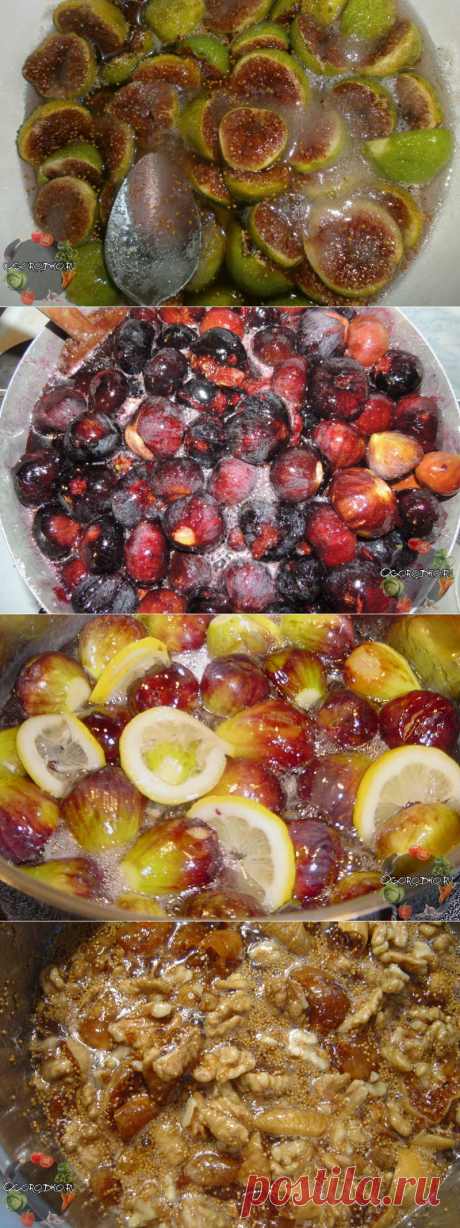 Варенье из инжира – рецепт самый вкусный, с орехами, лимоном, в мультиварке + фото
