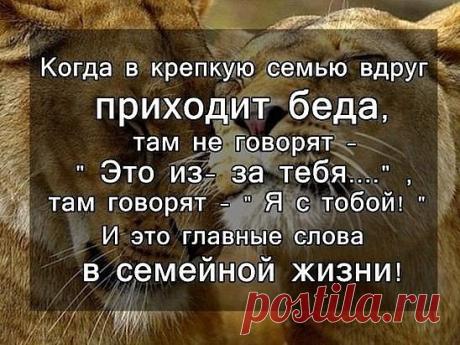 (42) Одноклассники