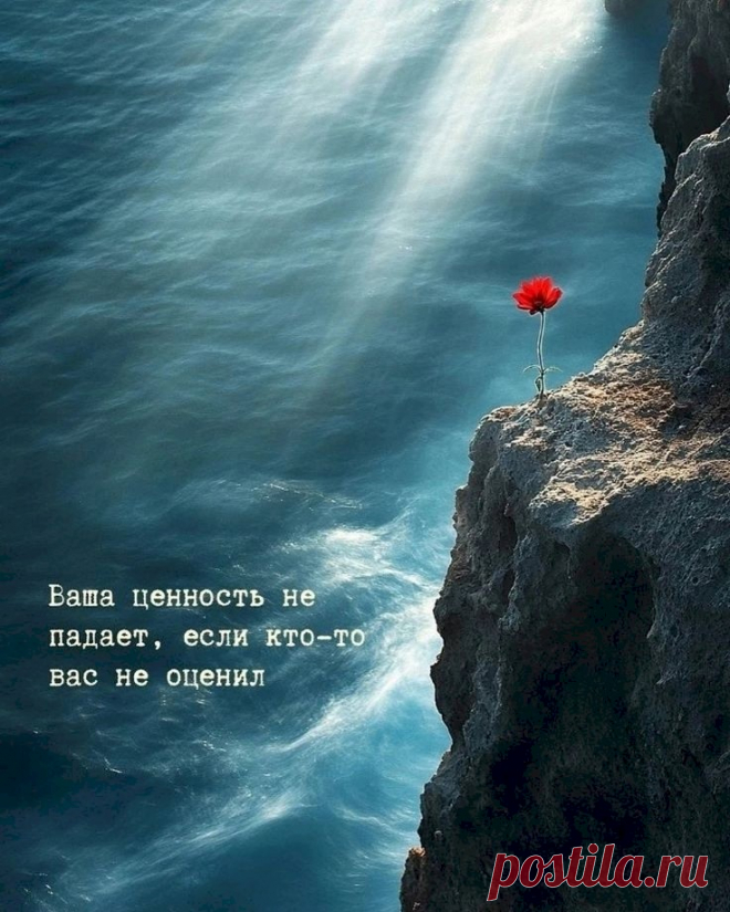 923d3142.jpg (736×920)