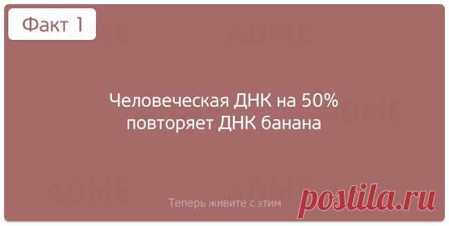 Абсолютно бесполезные факты обо всем - Познавай