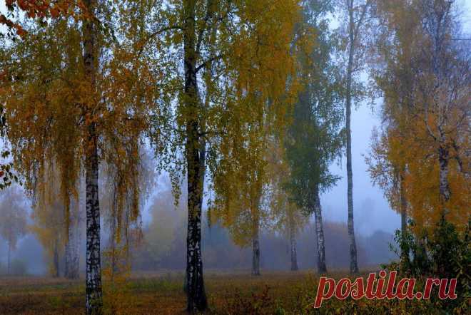 ФОТОМАСТЕРСКАЯ ПРИРОДЫ
Валентина Кобцева