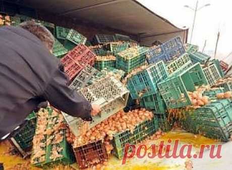 В Пермском крае обнаружили искусственные яйца из Китая.