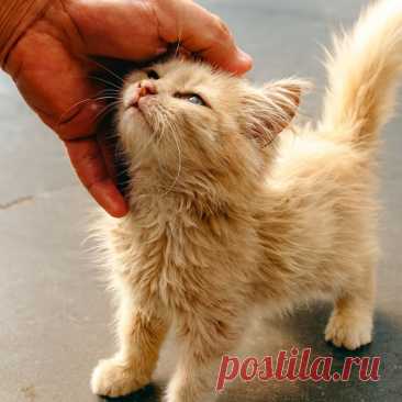 Бумеранг добра - OGADANIE.RU