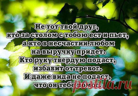 В ЖИЗНИ ВСЯКОЕ БЫВАЕТ