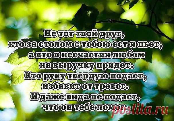 В ЖИЗНИ ВСЯКОЕ БЫВАЕТ