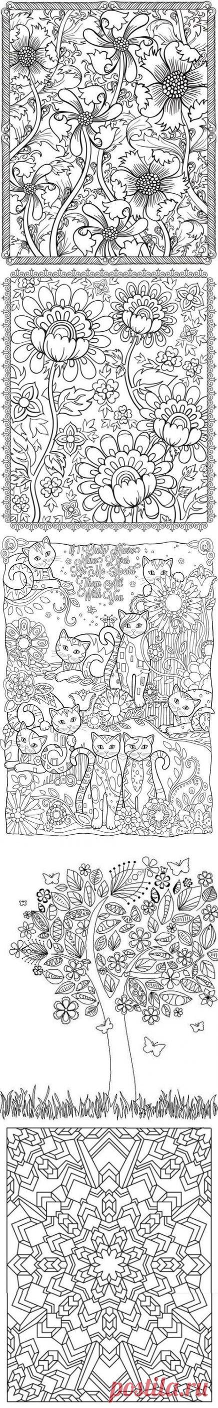 раскраски для взрослых