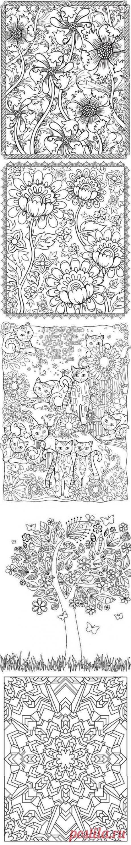 раскраски для взрослых