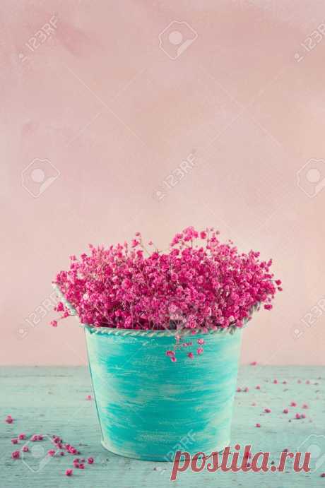23097264-pink-dried-baby-s-breath-flowers-in-a-blue-vase-on-wooden-vintage-background-Stock-Photo.jpg (866×1300)