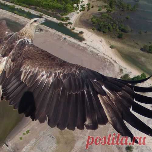 Лучшие фотографии с дронов 2014 года