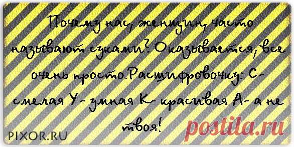 Графити вКонтакте — Почему нас, женщин, часто называют суками? Оказывается, | РИСУНКИ. ГРАФФИТИ. НА СТЕНУ ВКОНТАКТЕ. АВАТАРЫ. АВЫ. ОТ РУКИ.