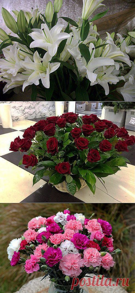 Одноклассники
