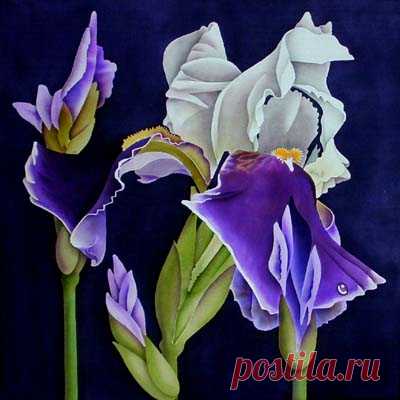 батик с ирисами - 4 090 картинок. Поиск Mail.Ru