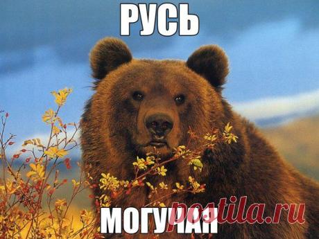 Голос России
