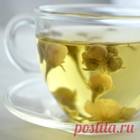 Целебные яблони и яблоки — о пользе почек, листиков, цветков и плодов. Фото — Ботаничка.ru