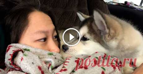 После ТАКОГО утреннего пробуждения, у любого будет целый день только хорошее настроение Вот как действительно выглядит доброе утро! После такого пробуждения, у любого будет целый день только хорошее настроение.


Источник