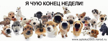 фаина попова – Google+