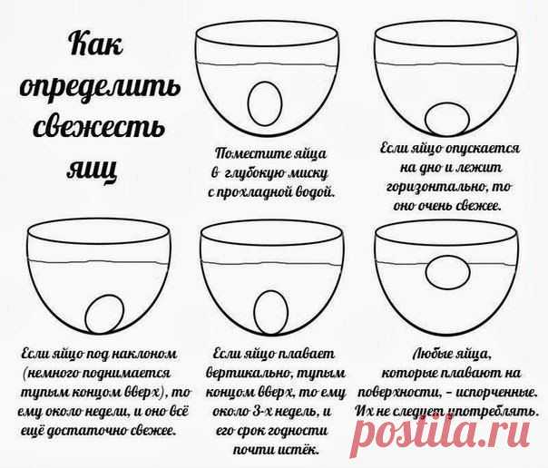 5 полезных советов