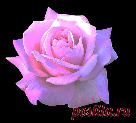 Мой Мир@Mail.Ru
