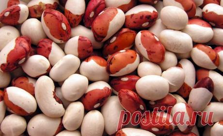 Продукты для похудения — Делимся советами