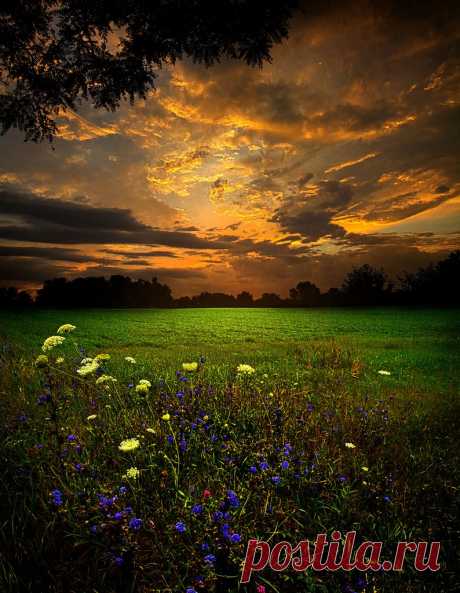coiour-my-world:
“ “Serendipity” ~ Phil Koch
”