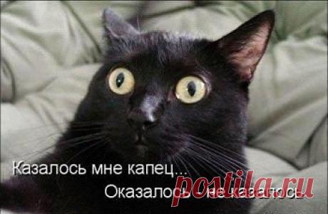 В маршрутку заходит девушка - свободных мест нет. Она встает на передней площадке,