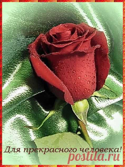 0_186783_9b66117d_orig (474×635)