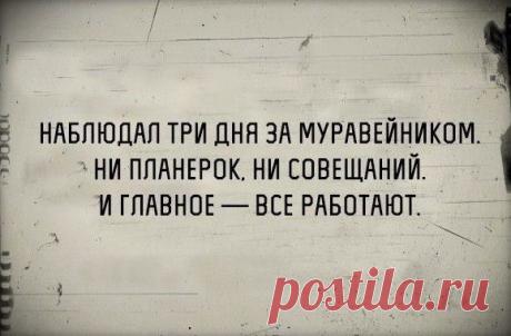 Приколы в картинках