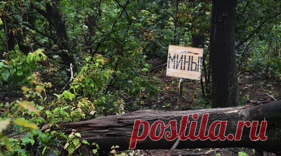 «Главное препятствие»: российские минные поля назвали проблемой для ВСУ в ходе контрнаступления. Минные поля ВС РФ превратились в труднопреодолимые препятствия для украинских войск из-за плотности заграждений и нехватки средств разминирования. В этом признаются сами военнослужащие ВСУ, пишут американские СМИ. В частности, сложная ситуация для украинских военных наблюдается в Запорожье. По мнению экспертов, опыт СВО доказал высокое качество отечественных мин и машин, которые используются для их…