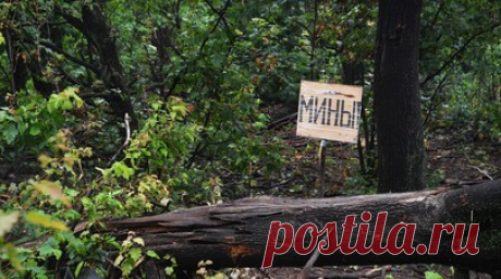 «Главное препятствие»: российские минные поля назвали проблемой для ВСУ в ходе контрнаступления. Минные поля ВС РФ превратились в труднопреодолимые препятствия для украинских войск из-за плотности заграждений и нехватки средств разминирования. В этом признаются сами военнослужащие ВСУ, пишут американские СМИ. В частности, сложная ситуация для украинских военных наблюдается в Запорожье. По мнению экспертов, опыт СВО доказал высокое качество отечественных мин и машин, которые используются для их…