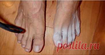 Продукт уничтожающий грибок и бактерии — Домашний уют