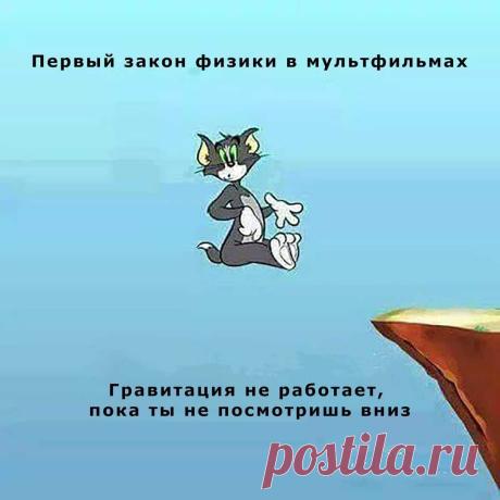 Учитель физики!
