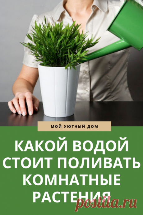 Какой водой стоит поливать комнатные растения