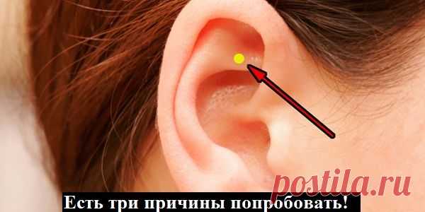 Внимание! Вот это ДА! Что произойдет, если вы будете массировать эту точку! Есть три причины попробовать! | Узнал сам - расскажи другому.