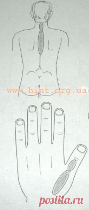 Су-джок для суставов