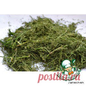 Сушка зелени в микроволновке - кулинарный рецепт
