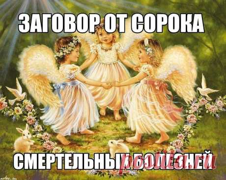 (60) Одноклассники